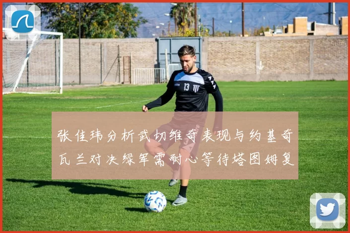 张佳玮分析武切维奇表现与约基奇瓦兰对决绿军需耐心等待塔图姆复出